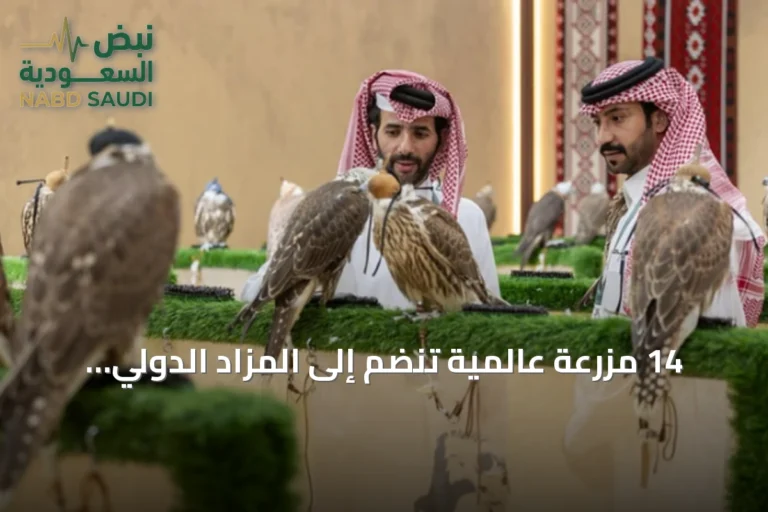 14 مزرعة عالمية تنضم إلى المزاد الدولي للصقور في ملهم