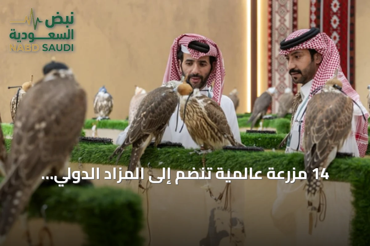 14 مزرعة عالمية تنضم إلى المزاد الدولي للصقور في ملهم