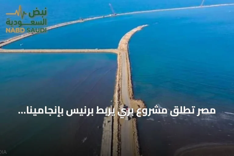 مصر تُطلق مشروع بري يربط برنيس بإنجامينا عبر ليبيا وتشاد