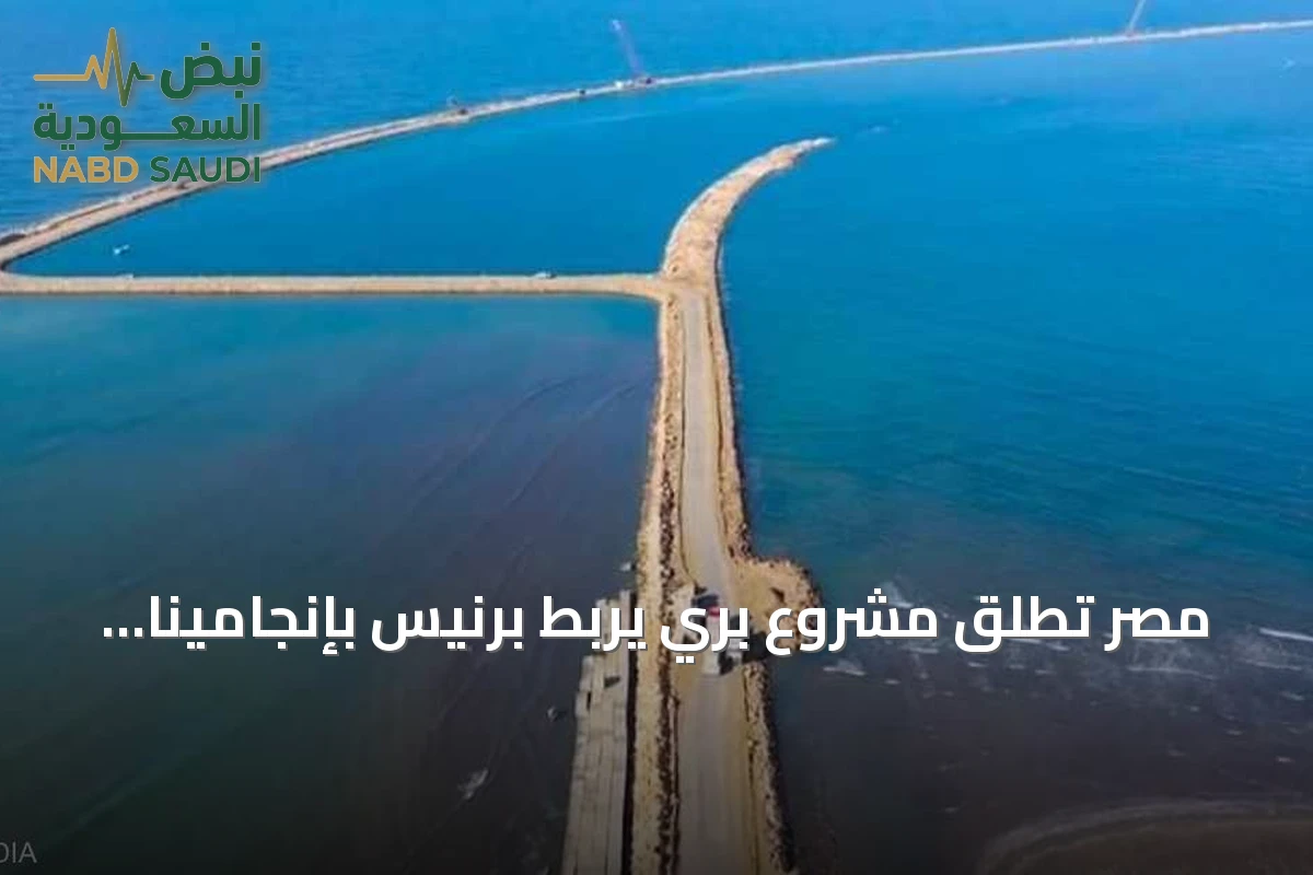 مصر تُطلق مشروع بري يربط برنيس بإنجامينا عبر ليبيا وتشاد