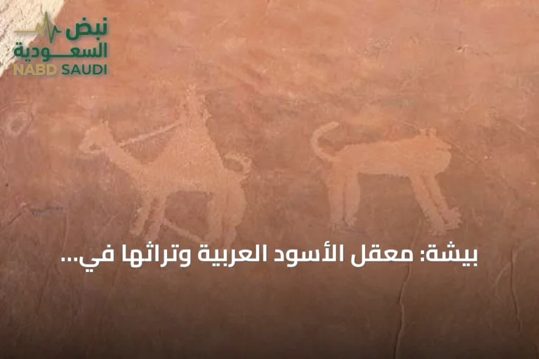 بيشة: معقل الأسود العربية وتراثها في الشعر والنقوش
