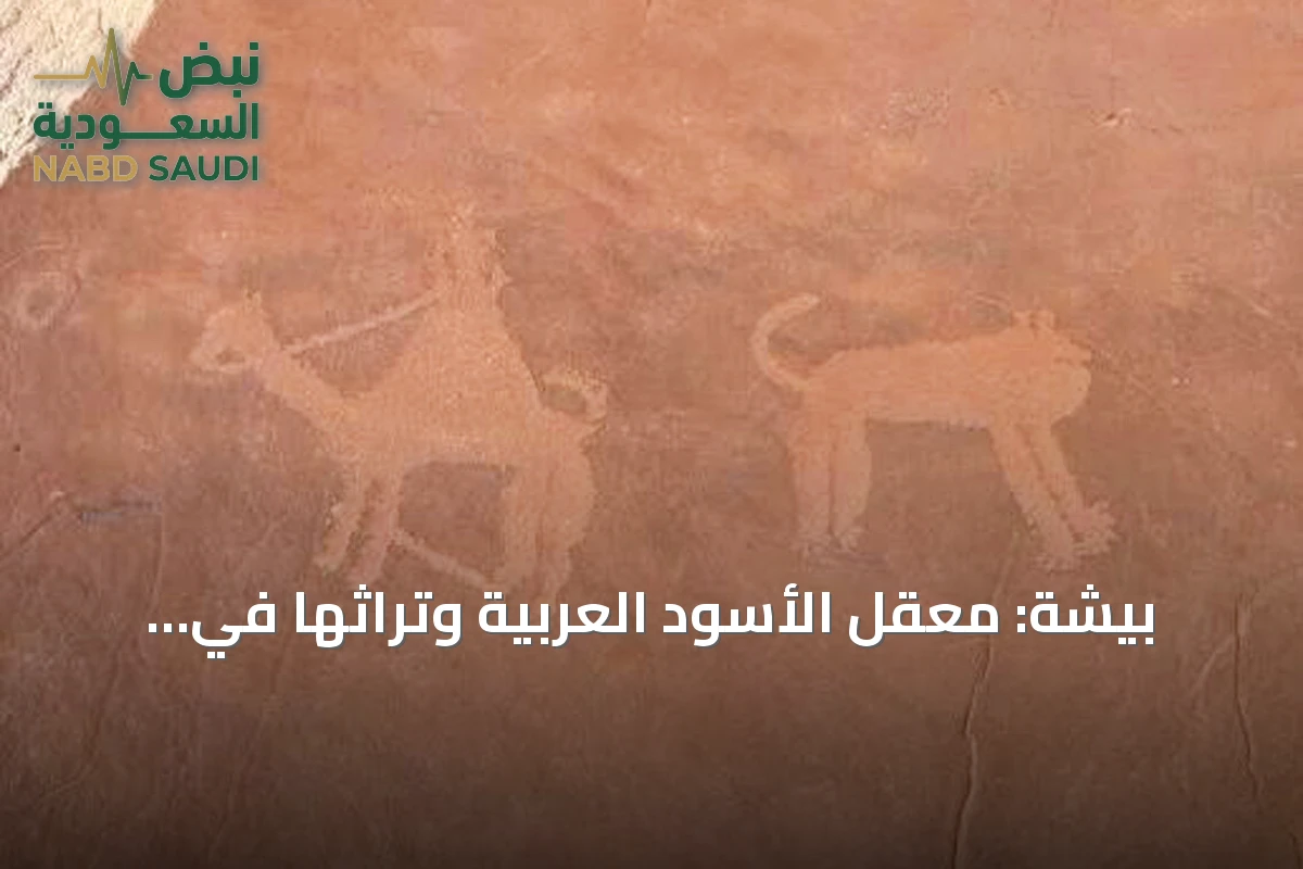 بيشة: معقل الأسود العربية وتراثها في الشعر والنقوش