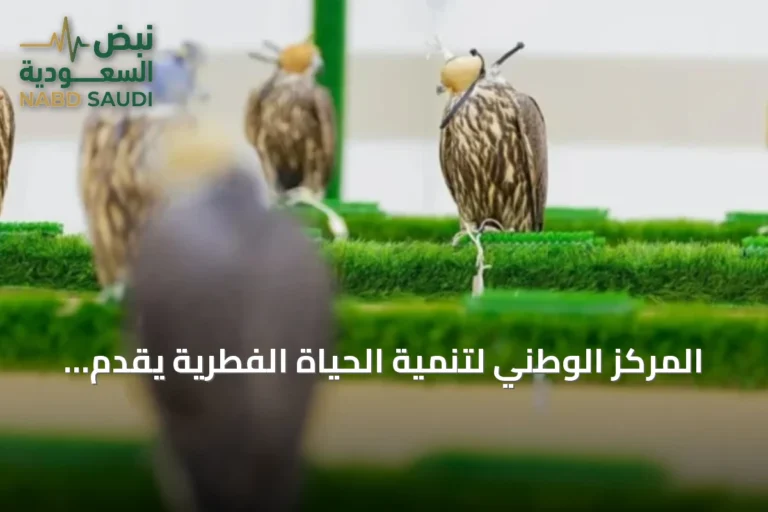 المركز الوطني لتنمية الحياة الفطرية يقدّم خدمات بيطرية متكاملة لصقور المزاد الدولي 2026