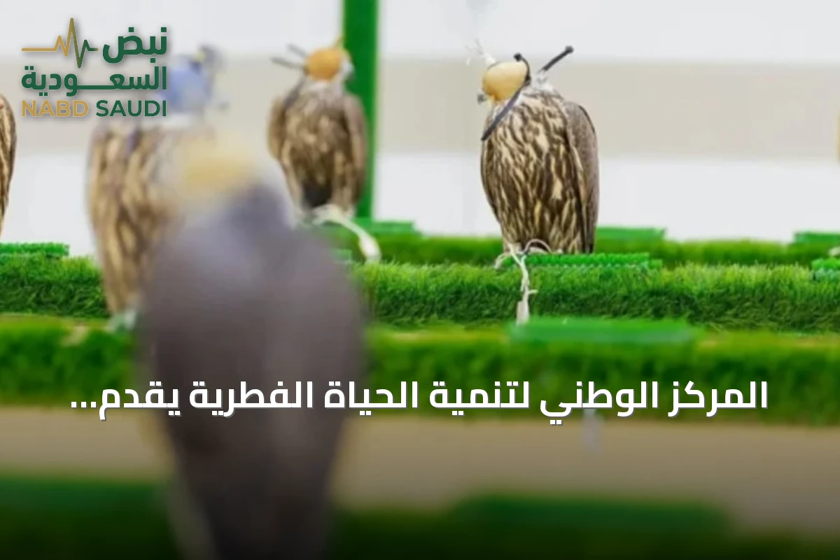 المركز الوطني لتنمية الحياة الفطرية يقدّم خدمات بيطرية متكاملة لصقور المزاد الدولي 2026
