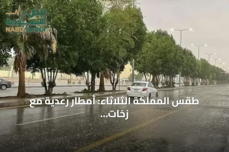 طقس المملكة الثلاثاء: أمطار رعدية مع زخات برد ورياح نشطة في عدة مناطق