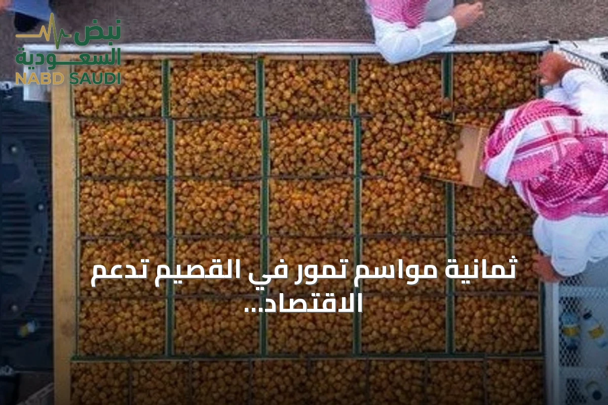 ثمانية مواسم تمور في القصيم تدعم الاقتصاد والسياحة برعاية أمير المنطقة