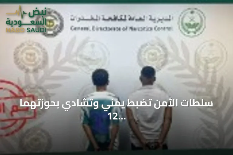 سلطات الأمن تضبط يمني وتشادي بحوزتهما 12 كيلوغراماً من الحشيش