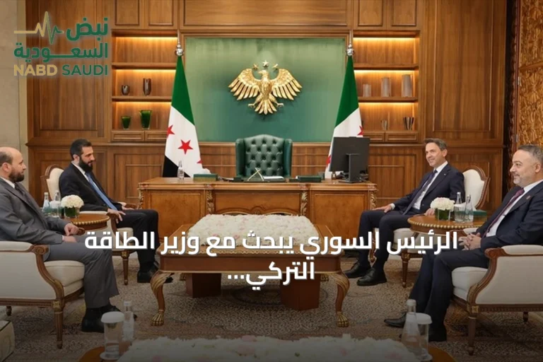 الرئيس السوري يبحث مع وزير الطاقة التركي تعزيز التعاون في الطاقة والفوسفات