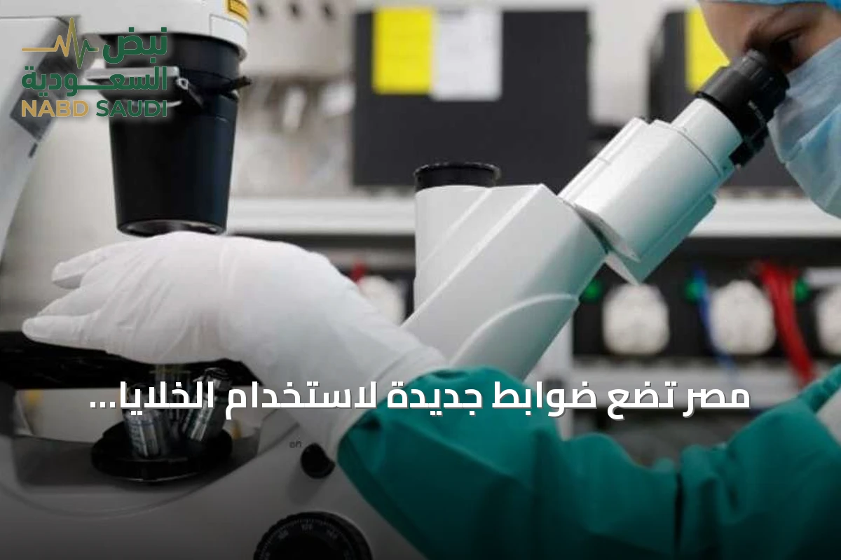 مصر تضع ضوابط جديدة لاستخدام الخلايا الجذعية في الطب لحماية المرضى