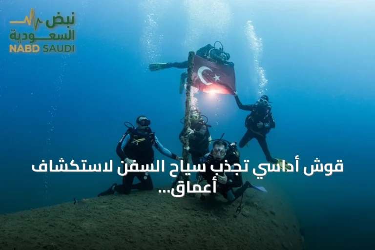قوش أداسي تجذب سياح السفن لاستكشاف أعماق بحر إيجة