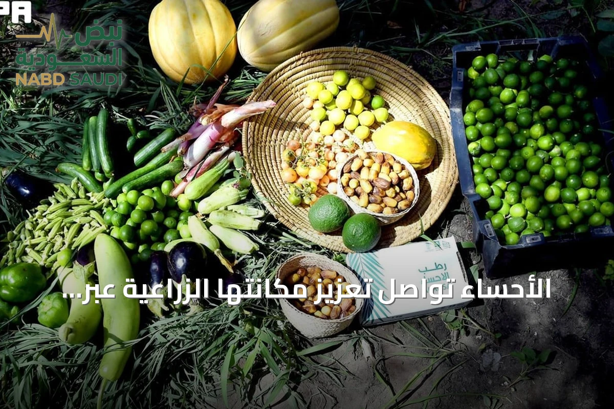 الأحساء تواصل تعزيز مكانتها الزراعية عبر إنتاج صيفي متنوع رغم الحرارة