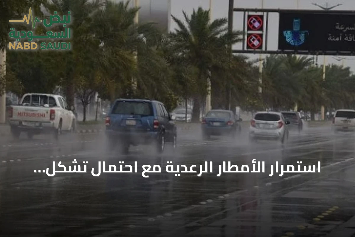استمرار الأمطار الرعدية مع احتمال تشكل الضباب على مناطق جنوب وغرب وشرقي المملكة