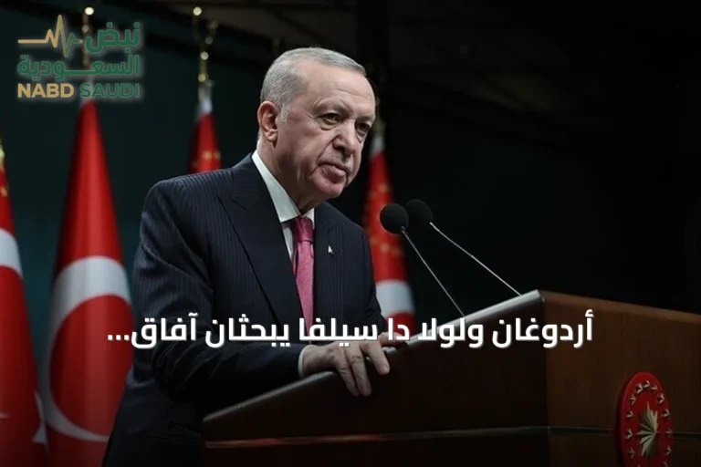 أردوغان ولولا دا سيلفا يبحثان آفاق التعاون التركي البرازيلي