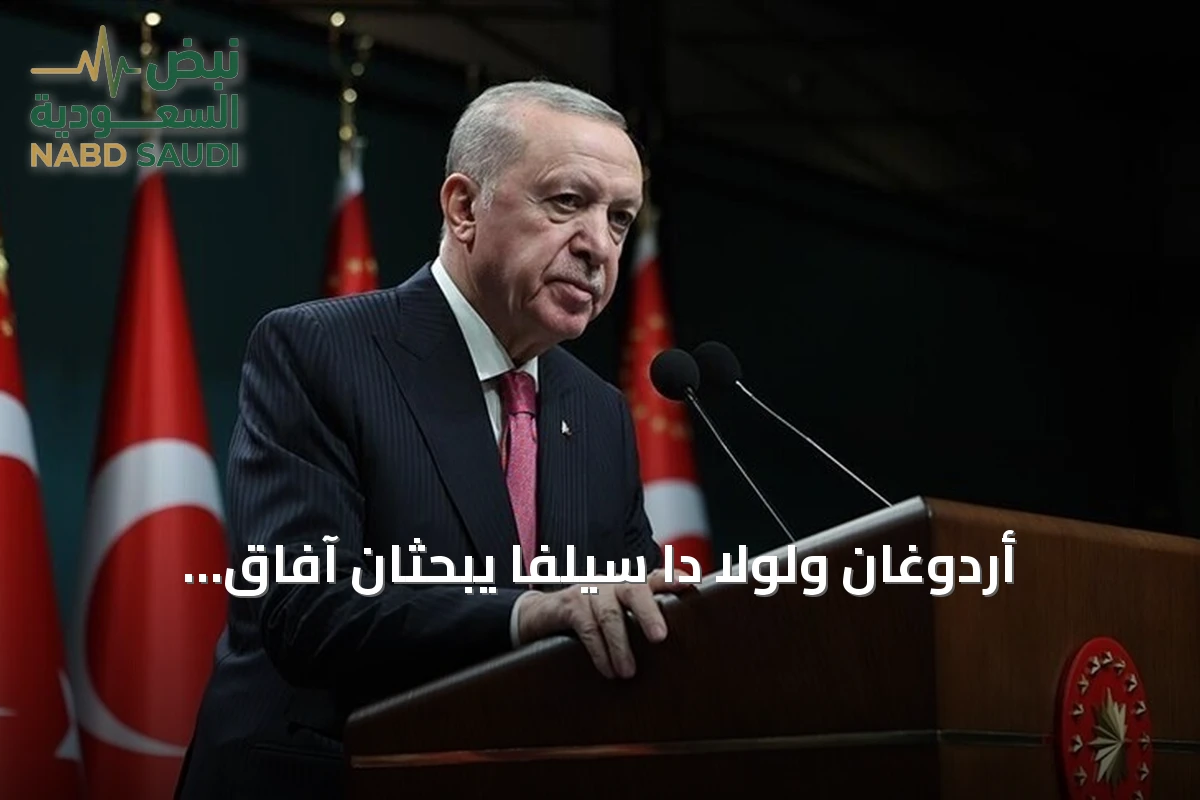 أردوغان ولولا دا سيلفا يبحثان آفاق التعاون التركي البرازيلي