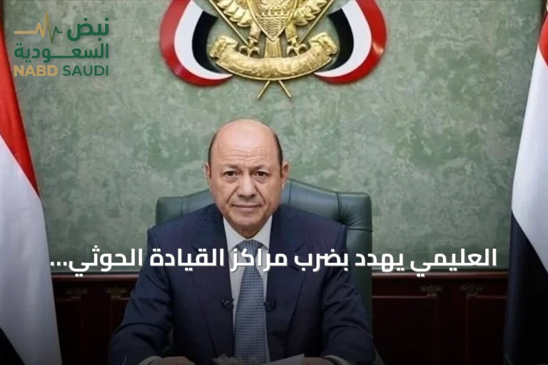 العليمي يهدد بضرب مراكز القيادة الحوثي ويجتمع مع مسؤول ألماني