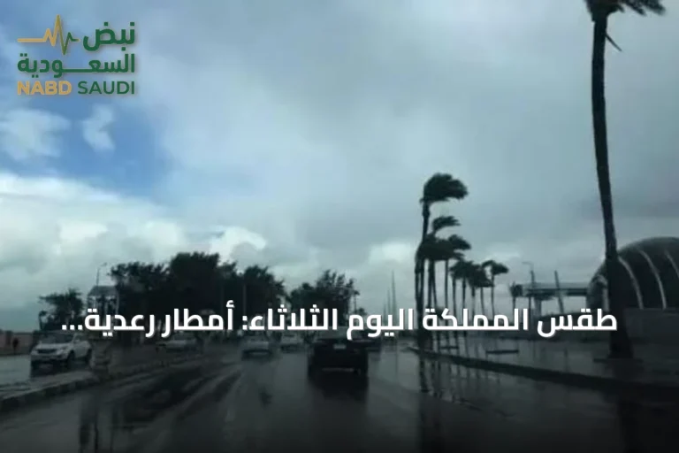 طقس المملكة اليوم الثلاثاء: أمطار رعدية وزخات برد ورياح نشطة على عدة مناطق