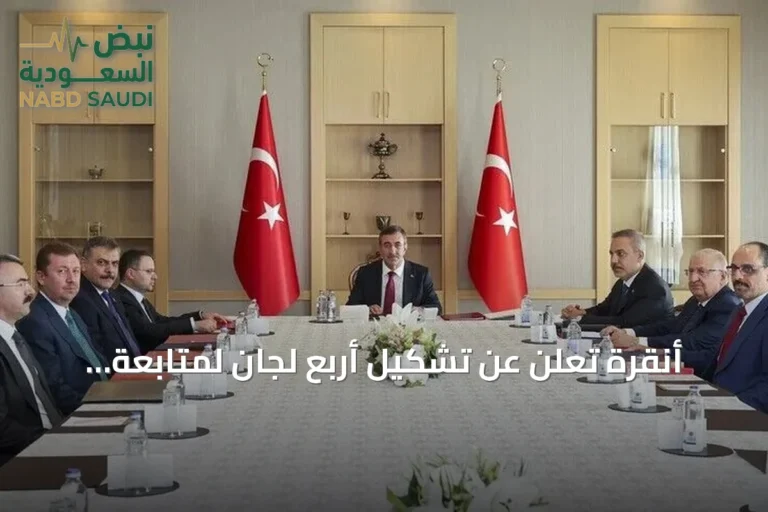 أنقرة تُعلن عن تشكيل أربع لجان لمتابعة مسار تركيا خالية من الإرهاب