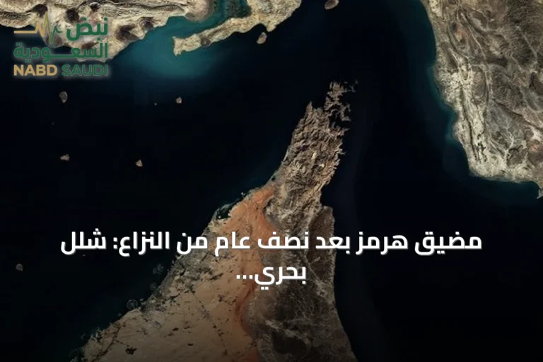 مضيق هرمز بعد نصف عام من النزاع: شلل بحري وطرق بديلة وآلاف العالقين