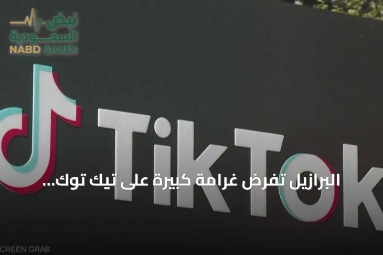 البرازيل تفرض غرامة كبيرة على تيك توك بسبب انتهاكات بيانات الأطفال