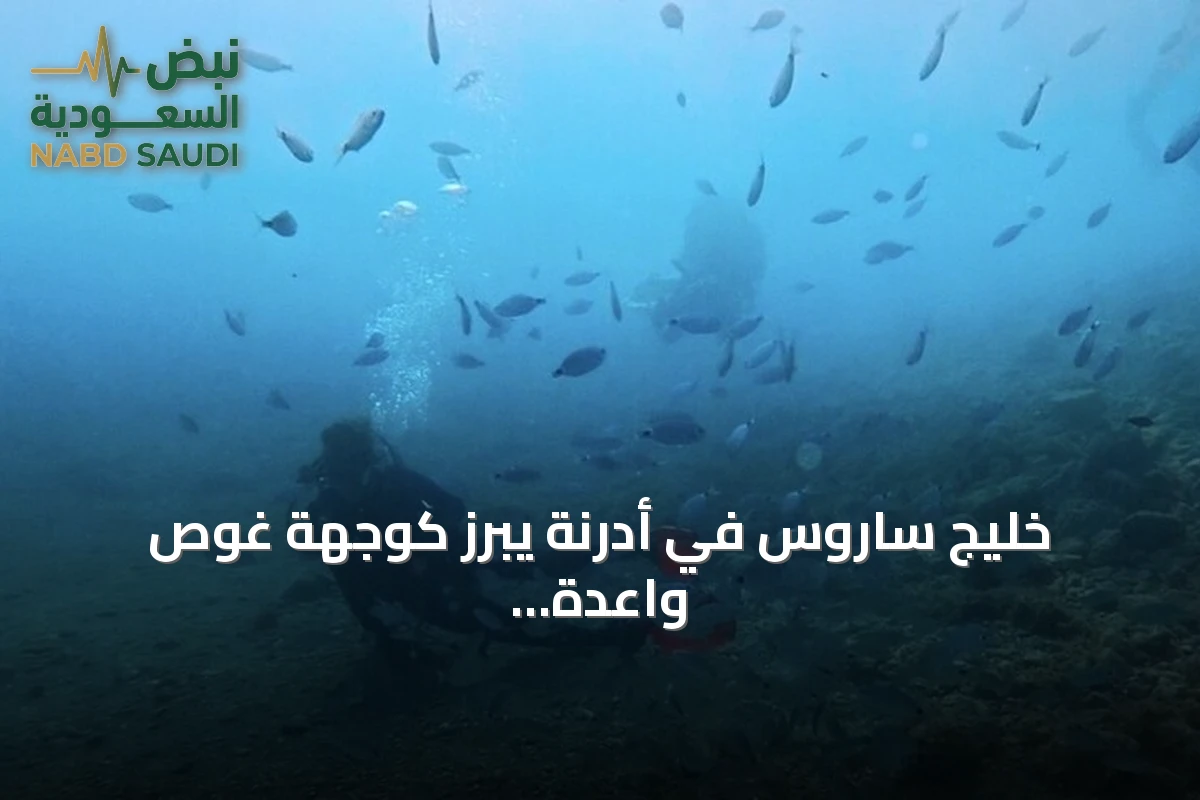 خليج ساروس في أدرنة يبرز كوجهة غوص واعدة بفضل الشعاب الاصطناعية ومياهه الصافية