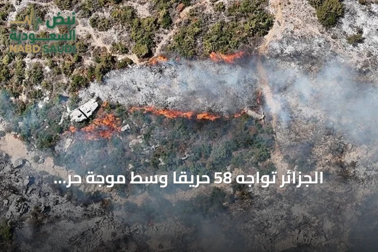 الجزائر تواجه 58 حريقًا وسط موجة حر وتنفيذ إجلاءات وقائية