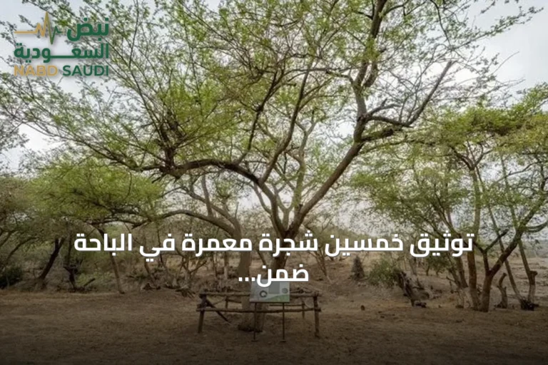 توثيق خمسين شجرة معمّرة في الباحة ضمن جهود الحفاظ على الغطاء النباتي