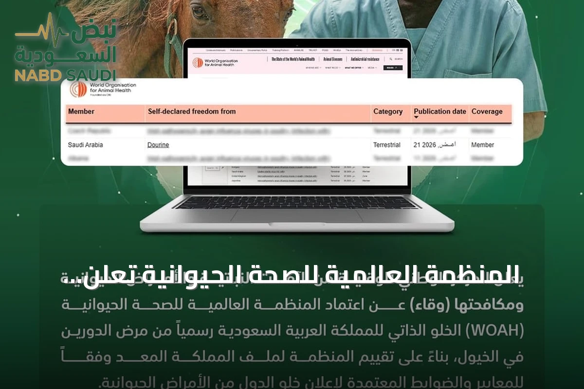 المنظمة العالمية للصحة الحيوانية تُعلن خلو السعودية من مرض الدورين الذي يصيب الخيول