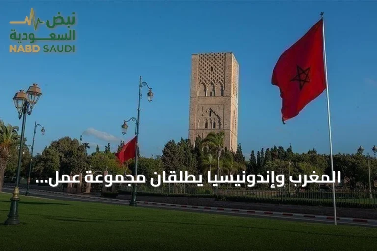 المغرب وإندونيسيا يطلقان مجموعة عمل لتعزيز الشراكة الاقتصادية
