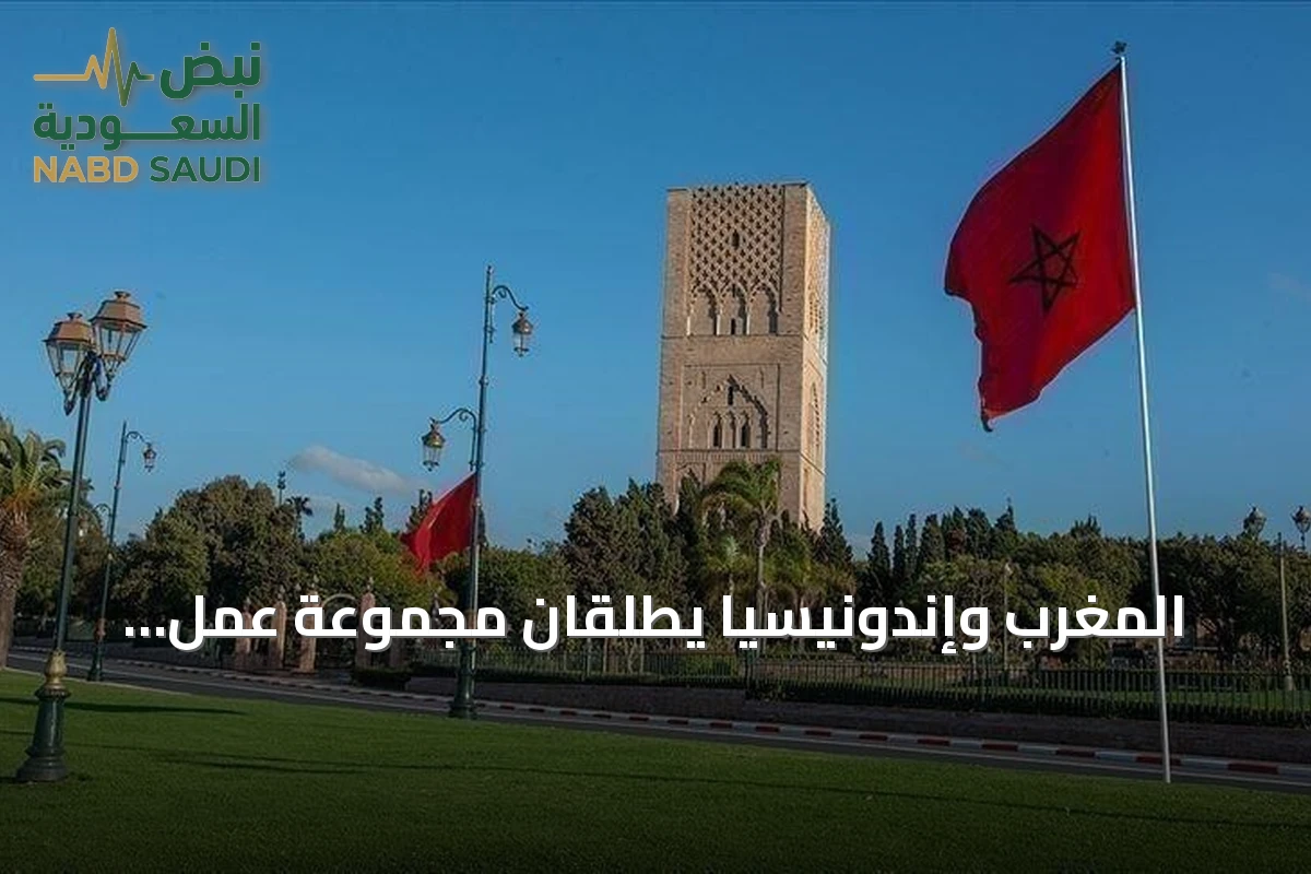 المغرب وإندونيسيا يطلقان مجموعة عمل لتعزيز الشراكة الاقتصادية