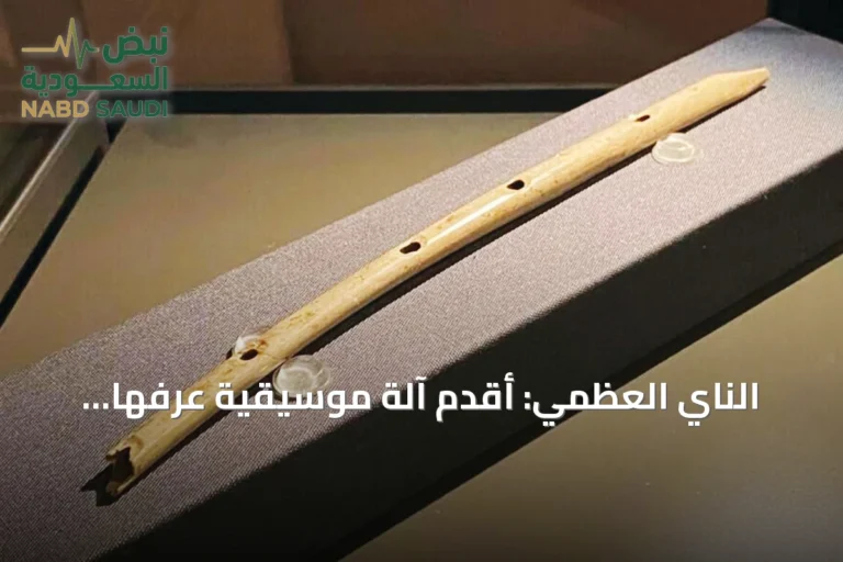 الناي العظمي: أقدم آلة موسيقية عرفها الإنسان