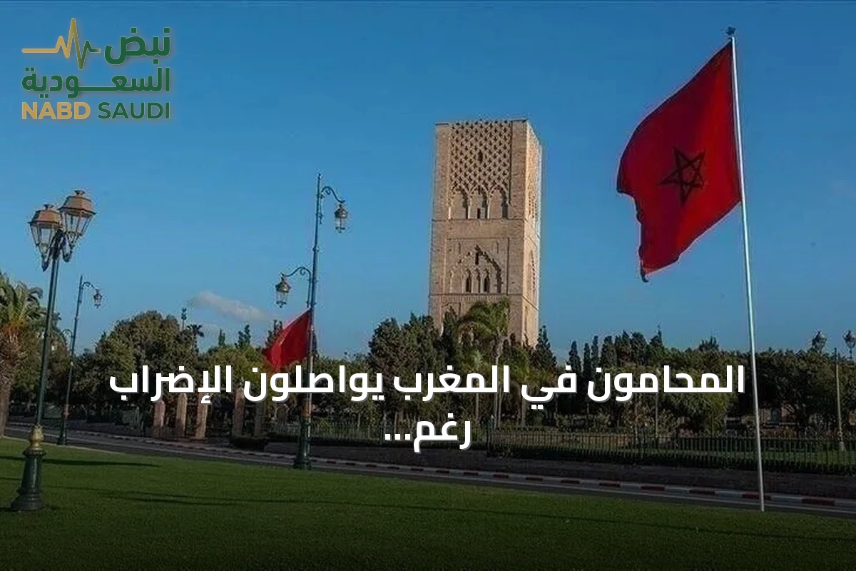 المحامون في المغرب يواصلون الإضراب رغم سريان قانون تنظيم المهنة
