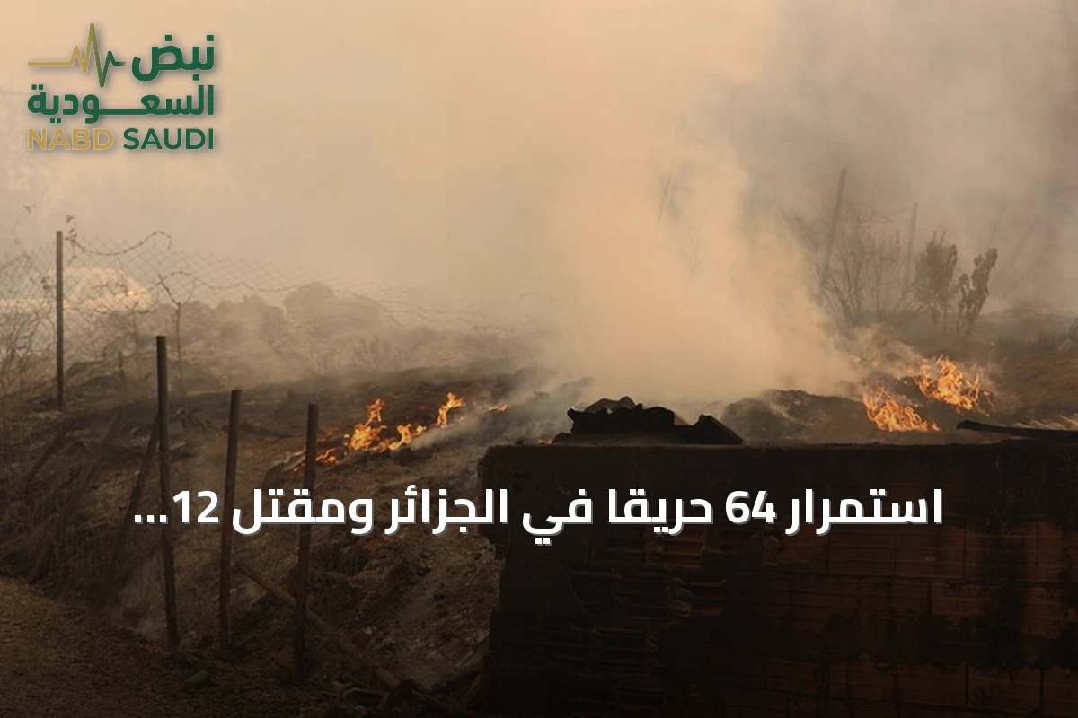 استمرار 64 حريقاً في الجزائر ومقتل 12 شخصاً في ظل موجة حر شديدة