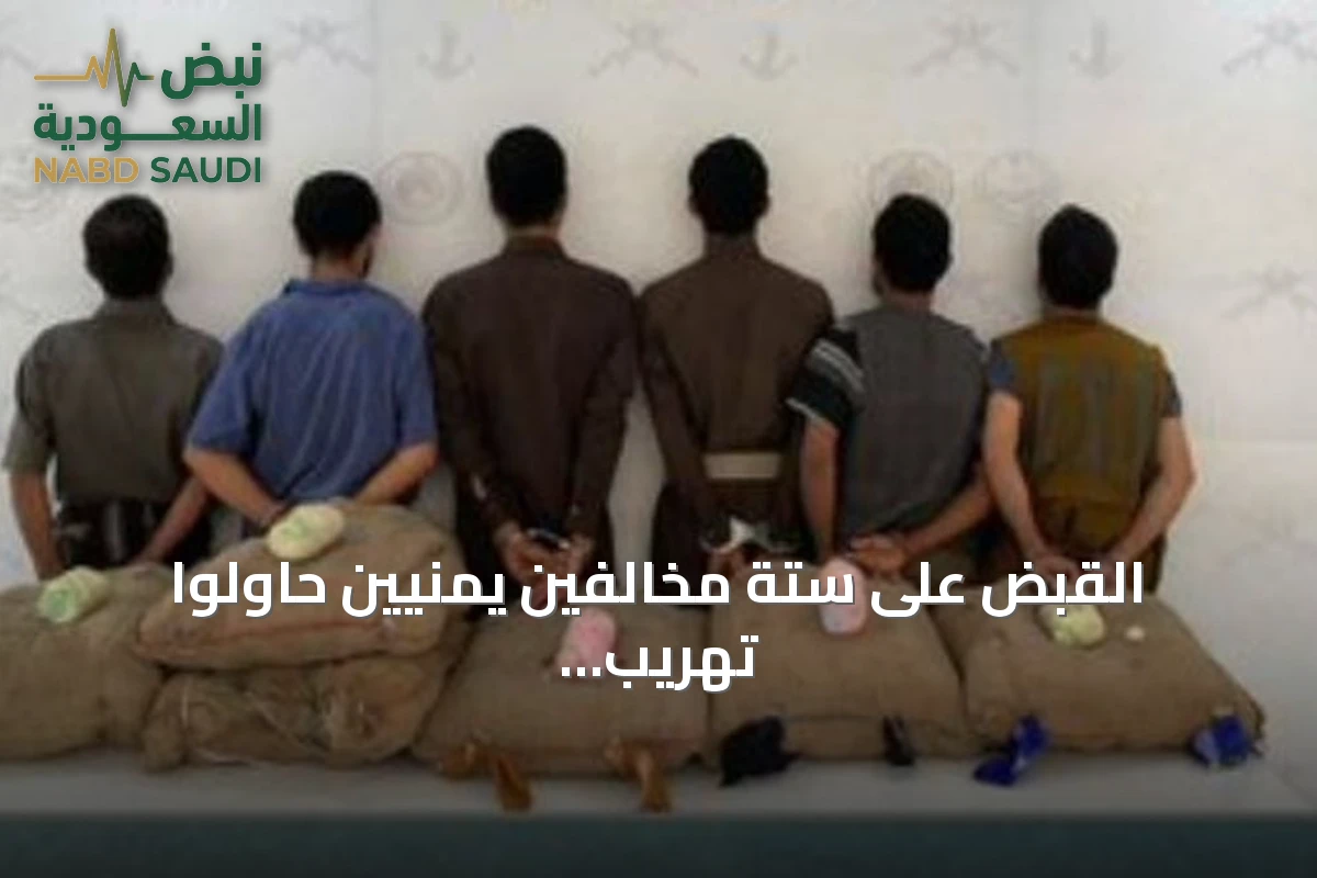 القبض على ستة مخالفين يمنيين حاولوا تهريب 120 كيلوجراماً من القات في قطاع الربوعة