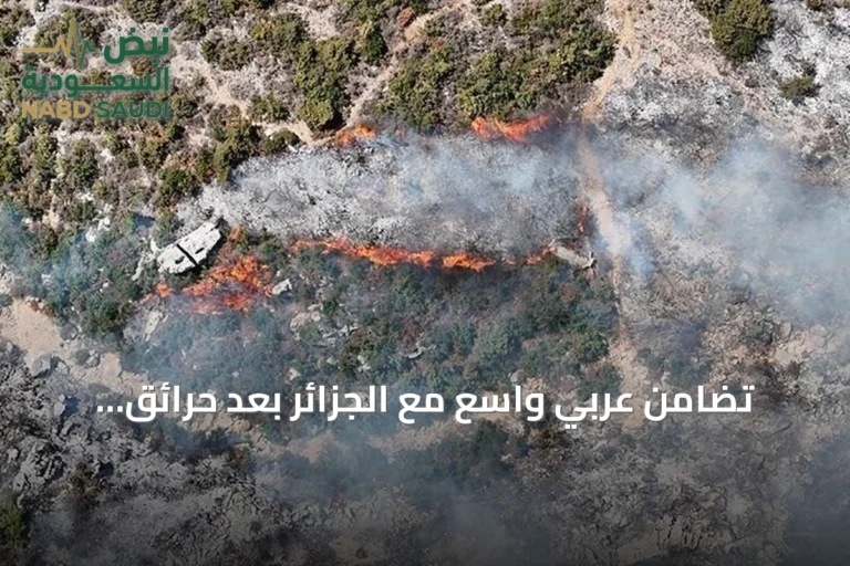 تضامن عربي واسع مع الجزائر بعد حرائق غابات شمالية شرقية