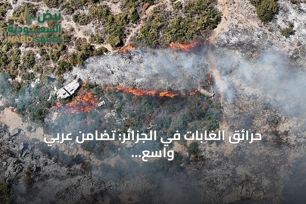 حرائق الغابات في الجزائر: تضامن عربي واسع من ست دول