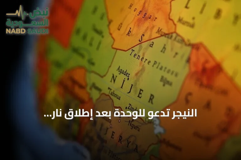 النيجر تدعو للوحدة بعد إطلاق نار وانفجارات قرب المطار الرئاسي
