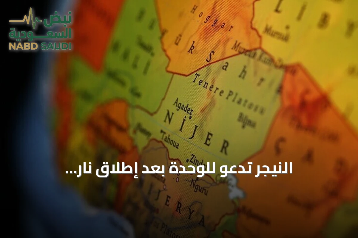 النيجر تدعو للوحدة بعد إطلاق نار وانفجارات قرب المطار الرئاسي