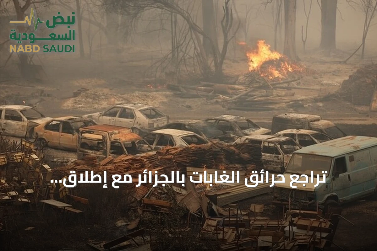 تراجع حرائق الغابات بالجزائر مع إطلاق قوافل تضامنية للمناطق المتضررة