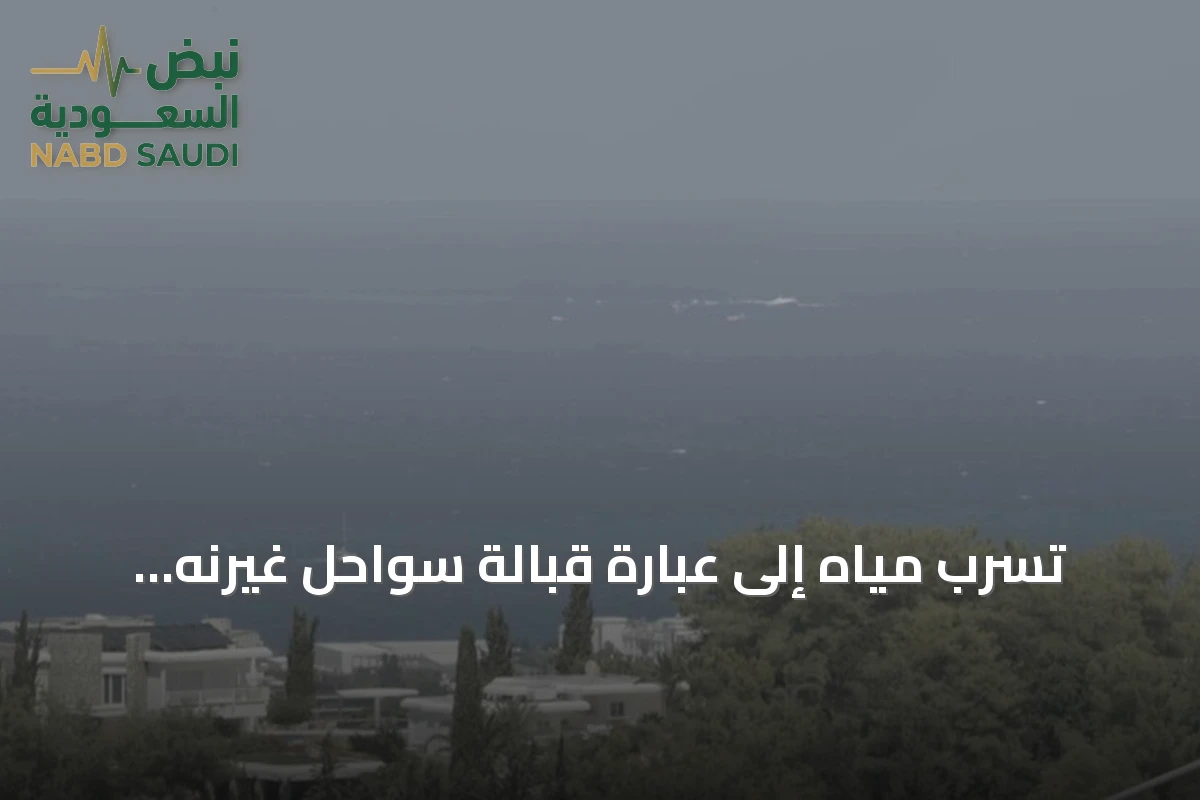 تسرب مياه إلى عبّارة قبالة سواحل غيرنه وجهود الإنقاذ مستمرة