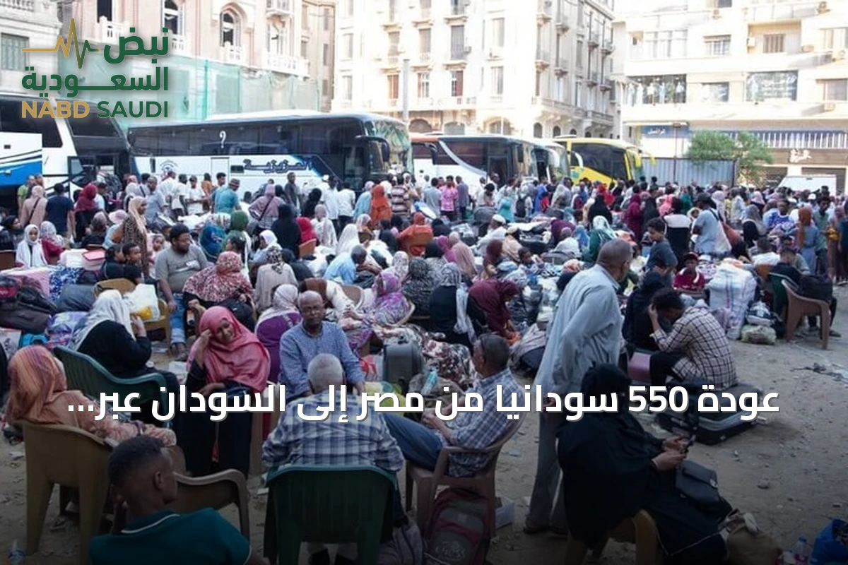 عودة 550 سودانياً من مصر إلى السودان عبر 12 حافلة في إطار مبادرة للعودة الطوعية
