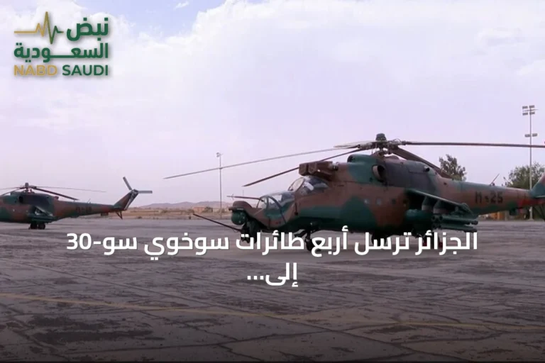 الجزائر ترسل أربع طائرات سوخوي سو-30 إلى النيجر لدعم استقرارها