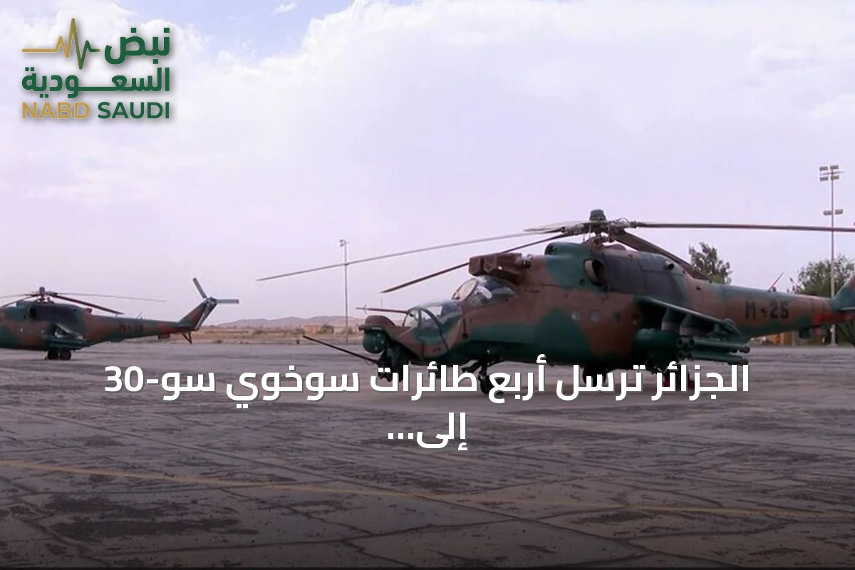 الجزائر ترسل أربع طائرات سوخوي سو-30 إلى النيجر لدعم استقرارها