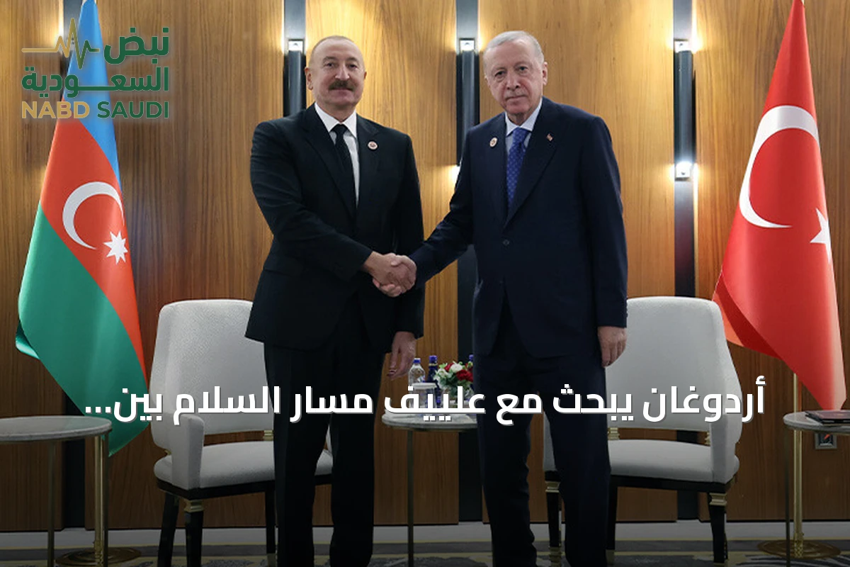 أردوغان يبحث مع علييف مسار السلام بين أذربيجان وأرمينيا على هامش قمة شنغهاي