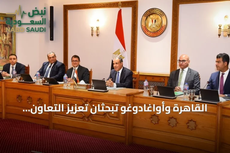 القاهرة وأواغادوغو تبحثان تعزيز التعاون العسكري ومكافحة الإرهاب في منطقة الساحل
