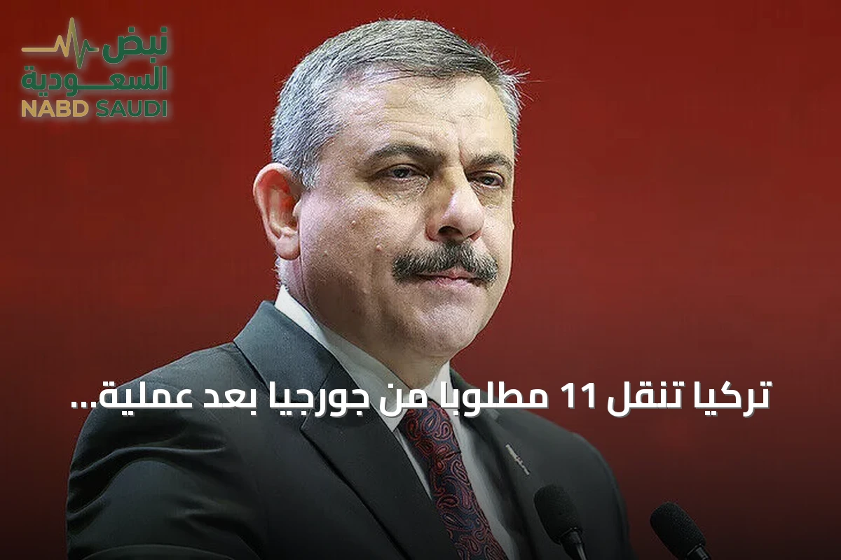 تركيا تنقل 11 مطلوبا من جورجيا بعد عملية أمنية مشتركة