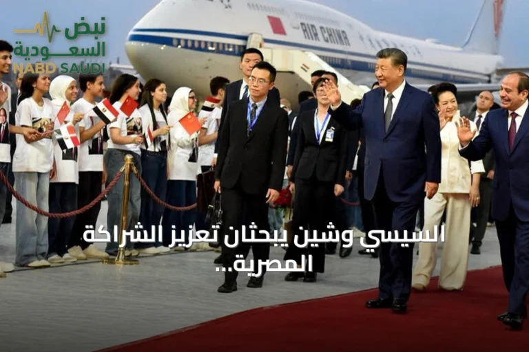 السيسي وشين يبحثان تعزيز الشراكة المصرية الصينية ووقف النزاعات الإقليمية