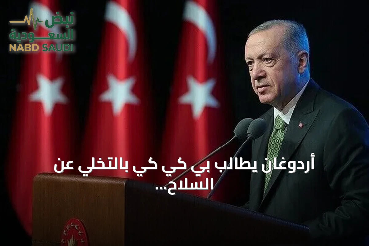أردوغان يطالب بي كي كي بالتخلي عن السلاح لتطبيق مسار تركيا بلا إرهاب