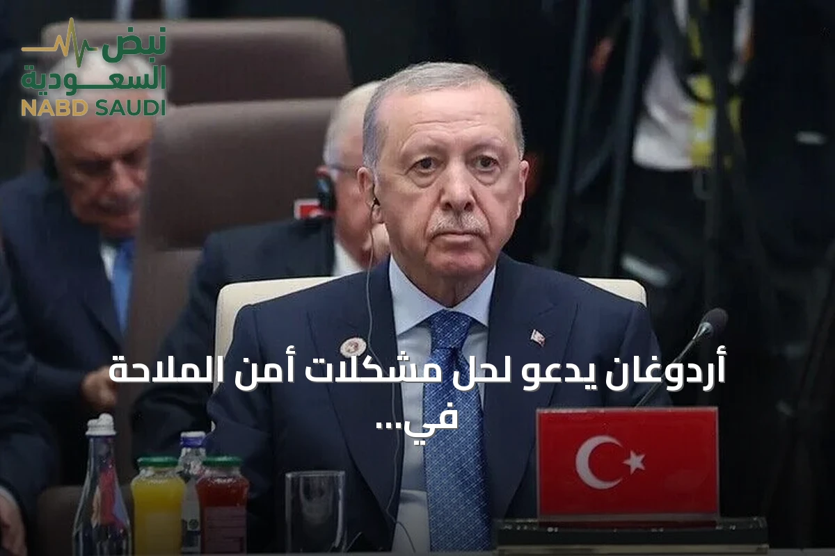 أردوغان يدعو لحل مشكلات أمن الملاحة في البحر الأسود ويؤكد دعمه للسلام بين روسيا وأوكرانيا