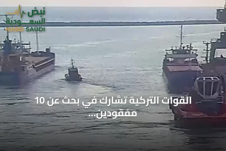 القوات التركية تشارك في بحث عن 10 مفقودين بعد اصطدام سفينتين في بحر مرمرة