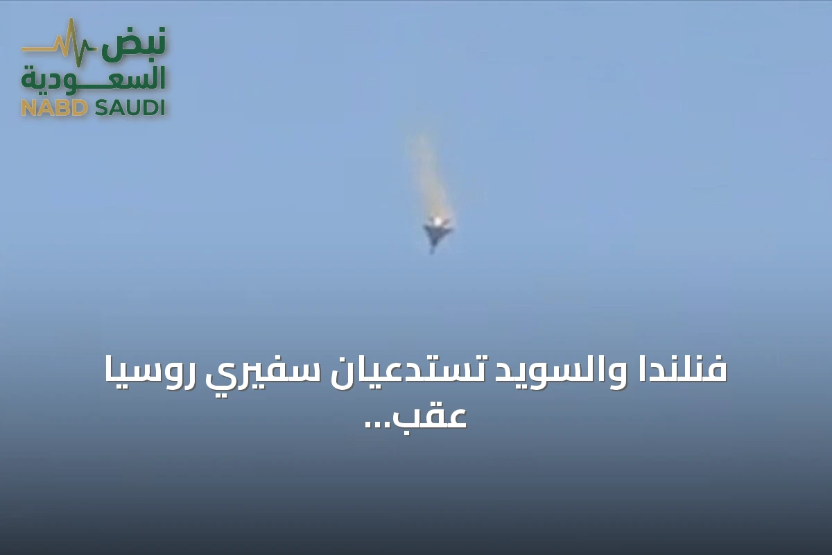 فنلندا والسويد تستدعيان سفيري روسيا عقب اكتشاف طائرة مسيرة مشبوهة بألمانيا